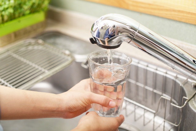 浄水器　パンタレイ★安全で美味しい水をつくる浄水器◇現行品　トキワクリスタル 浄水器 トキワクリスタ(旧ﾊﾟﾝﾀﾚｲ) | Net Shop ama-eco